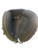 Used Rawlings RENEGADE BB/SB Catchers RH Throw Black 31 1/2" 11909-S000010203 View 2
