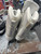 Used CCM CS 160 WomensFigure Skate White Senior 9 11337-S000491950 View 6