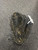 Used Rawlings RBG28B BB/SB Glove RH Throw Black 13" 11726-S000298954 View 3