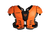 Legion M-80 Youth Highlight Shoulder Pads View 1