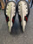Used Bauer 2X PRO Senior Hockey Skate Senior 8.5 11894-S000057970 View 3