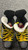 Used CCM FT340 Junior Hockey Skate Junior 03 11162-S000459906 View 1