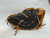 Used DIAZ GLOVES COMPANY FIRST BASE BB/SB Glove LH Throw Black And Tan 15" 11879-S000022839 View 2