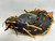 Used DIAZ GLOVES COMPANY FIRST BASE BB/SB Glove LH Throw Black And Tan 15" 11879-S000022844 View 2