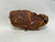 Used Nokona N80 PRO MODEL FIRST BASE BB/SB Glove LH Throw Brown 14" 11879-S000022843 View 2