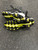 Used Nike ALPHA Youth FB Cleats Black Youth 06.0 11894-S000058077 View 3