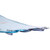 New O'Brien Spark Wakeboard with Access Men's Size 7-11 Bindings- 137cm 11218-OBR2210428 View 3