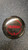 New DIS Ricky Wysocki Buzzz 11831-26VERWBUZZZALE View 1