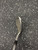 Used Adams Golf A12 OS Golf Chipper RH Pitching Wedge 11162-S000460005 View 5