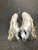 Used Foot Joy TOUR ALPHA 55507 Mens Golf Shoes White Senior 10.5 11726-S000299105 View 2