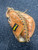 Used Wilson A2500 BB/SB Catchers RH Throw Brown 30" 11849-S000042152 View 2