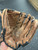 Used Mizuno PROSPECT BB/SB Glove RH Throw Brown 11" 11162-S000460181 View 2