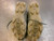 Used Under Armour BRYCE HARPER SHOW BB/SB Cleats Grey Junior 04 11339-S000204724 View 5