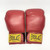 Used Everlast 14oz Boxing Gloves 11805-S000085378 View 1