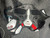 Used CCM FT6 PRO Junior Shoulder Pads LG 11913-S000017446 View 1