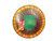 Used Innova MAMBA Disc Golf Driver Orange 11846-S000108059 View 1