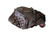 Used Worth STORM FASTPITCH BB/SB Glove RH Throw Black 11 1/2" 11861-S000035034 View 3