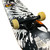 Used Krown SKATEBOARD Complete Skateboard Black 7 1/2" 11484-S000308613 View 4