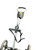 Used Bag Boy PUSH CART Golf Accessory 10743-C000490584 View 7