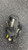 Used Wilson MINI-PRO BB/SB Glove T-ball Black 9" 11831-S000034772 View 1