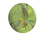 Used Discraft 2024 WORLD CHAMPIONSHIP Disc Golf Driver Green 11834-S000054595 View 1