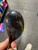 Used Callaway MAVRIK Mens Hybrid Club RH 5 Hybrid 11337-S000492665 View 3