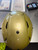 Used Riddell SPEEDFLEX FB Helmet Gold XL 11801-S000070300 View 5