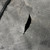 Used Itech Sr Hockey Carry Silver 11855-S000207550 View 9