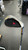 Used Top Flite TF Golf Wedge Mens RH Pitching Wedge 11477-S000215682 View 1