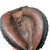 Used MacGregor BBCMPROX BB/SB Catchers RH Throw Brown And Black 30" View 4