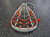 Used STX ARIA PRO Womens Lacrosse Head White 11849-S000042373 View 4