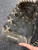 Used Rawlings MRI110BCG BB/SB Glove LH Throw Black 11" 11162-S000460864 View 4