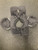 Used Schutt JR BLOCKER FB Shoulder Pads White XXS 11726-S000299589 View 2