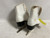 Used CCM SP Women’s Figure Skates White Senior 6 11855-S000207716 View 4