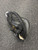 Used Franklin 22638 BB/SB Catchers RH Throw Black 31 1/2" 11726-S000299648 View 1