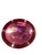 Used Discraft CAPTAINS RAPTOR Disc Golf Driver Maroon 11884-S000067346 View 1