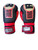 Used Ringside FTG1 L/XL Boxing Gloves  10313-S000287402 View 1