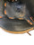 Used Adidas TS3150BR BB/SB Catchers LH Throw Black 31" 11768-S000239740 View 4