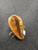 Used Wilson GLV BB/SB Glove RH Throw Brown 11" 11726-S000299742 View 3