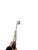 Used Taylormade SPIDER TOUR PUTTER Mens Putter RH 11938-S000375729 View 3