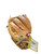 Used Wilson A9831 BB/SB Glove RH Throw Tan 12" 11892-S000034595 View 2