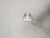 Used Ray Cook Womens Putter RH 11935-S000485621 View 1