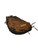 Used Wilson A950 BB/SB Catchers RH Throw Brown 34" 11721-S000287156 View 2