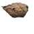 Used Easton NATURAL SERIES NAT80 BB/SB Glove RH Throw Brown 13" 11484-S000309290 View 4