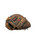 Used Wilson A900 3X BB/SB Catchers RH Throw Brown 32 1/2" 11814-S000401478 View 2