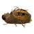 Used Nokona ALPHA S3 BB/SB First Base RH Throw Brown 12 1/2" 11471-S000176021 View 1