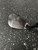 Used Cleveland RTX 588 2.0 ROTEX Golf Wedge Mens RH 52 Degree 11162-S000461543 View 3