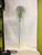 Used STX 6000 Wmn Atk/Mid Complete Stick Green 11900-S000028187 View 1
