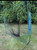 Used Primed INSTANT NET 7X7 BB/SB Pop-up Net 11879-S000023371 View 2