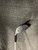 Used Callaway X HOT 3 HYB Mens Hybrid Club RH 3 Hybrid 11614-S000241546 View 9